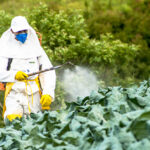 Glyphosate: A Hidden Toxin in Our Food… And It’s Totally Legal